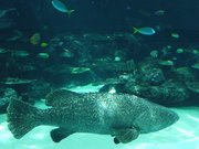 20090725_03