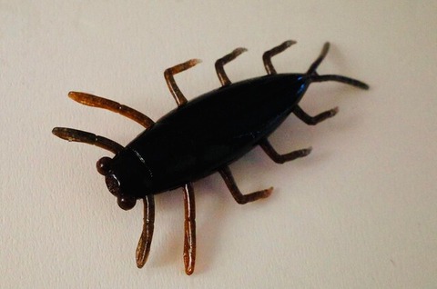 256138546_303541761589395_6677511443378290257_n