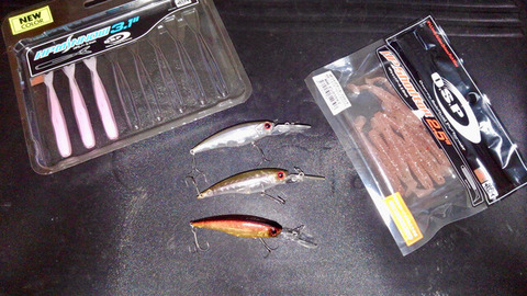 186073857_538175367176100_2550400598169281744_n (1)