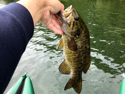 ����饤��