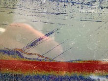IMG_4329