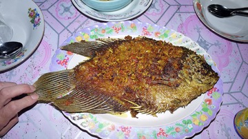 gurami