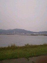 93910d42.jpg