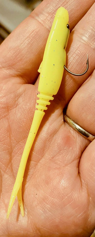 247173961_460993068643921_6052404304729974998_n