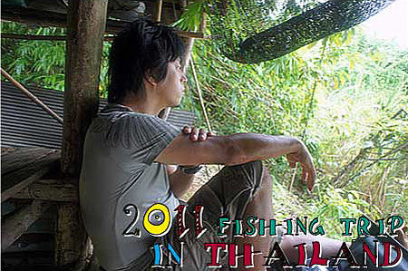 thai8