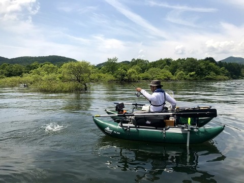 ��¼����