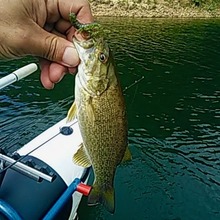 119719345_353318509186451_5329873591700940237_n