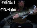 seabass200802