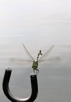 1008_BIWA_11
