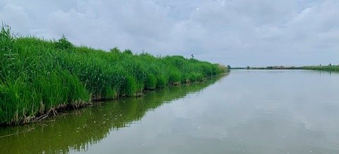 IMG_6447