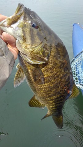 60579888_383695035564529_4862366899964477440_n