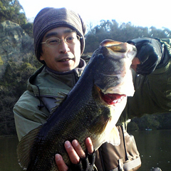 hosaka