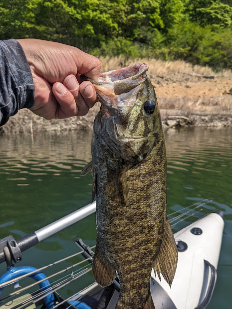 PXL_20240504_001504779