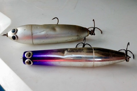 DSC_0344_20201208071652