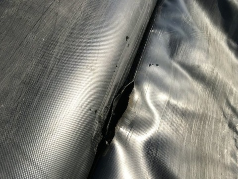 ��������»��