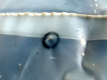 ��Ϥ�����