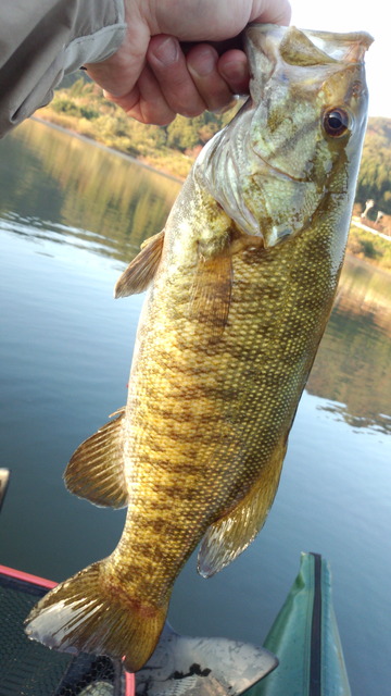 IMG_20141019_06334861