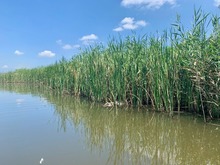 IMG_5559
