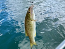 IMG_5655