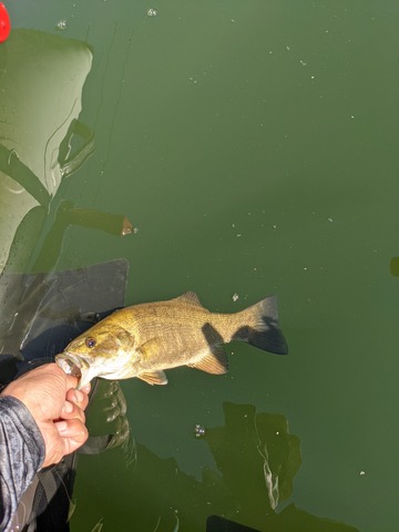 PXL_20210912_010630433