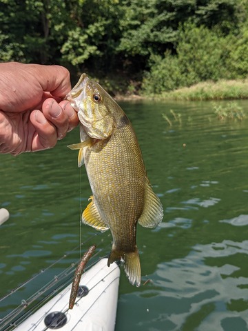 PXL_20210912_023605778