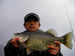 SANY2006