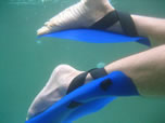 snorkel-fins-snorkeling-equipment