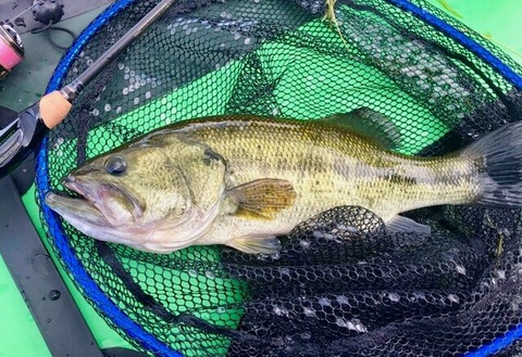 109824219_993626914404115_3469074419344468573_n