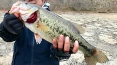 127015332_378952133317198_3193054958954904733_n