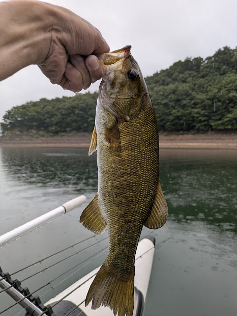 PXL_20250810_070139915.MP