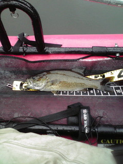 �ե�������2