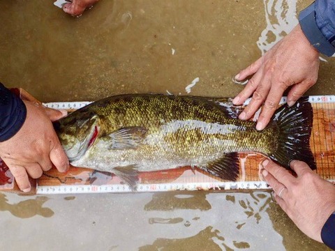 280202156_2563832360414959_5054931154329870344_n