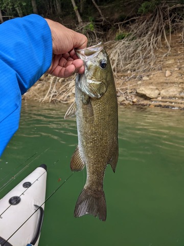 203691860_1016171579152833_8132403119328653669_n