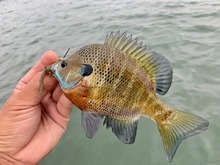 IMG_3985