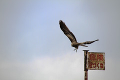 1008_BIWA_06