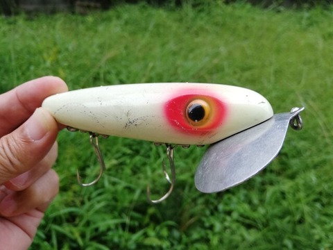 121239262_376544407040179_7942914744674104309_n