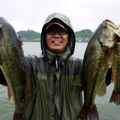 mashimo