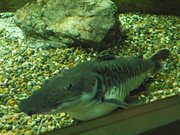 20090805_03