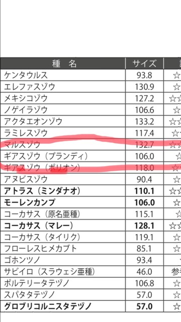 ギアスプランディに関して。 : ノコノコ飼育記