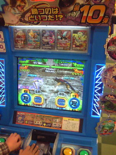 姉弟でアニマルカイザー公式大会優勝～！ : ノコノコ飼育記