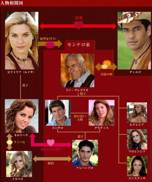 ビクトリア 愛と復讐の嵐 DVD-BOX シーズン1〈10枚組〉 Amazon.co.jp