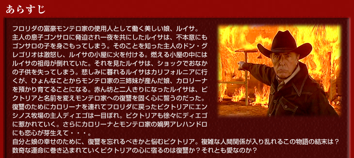 □南米ドラマ『ビクトリア ～ 愛と復讐の嵐』シーズン1（全29話