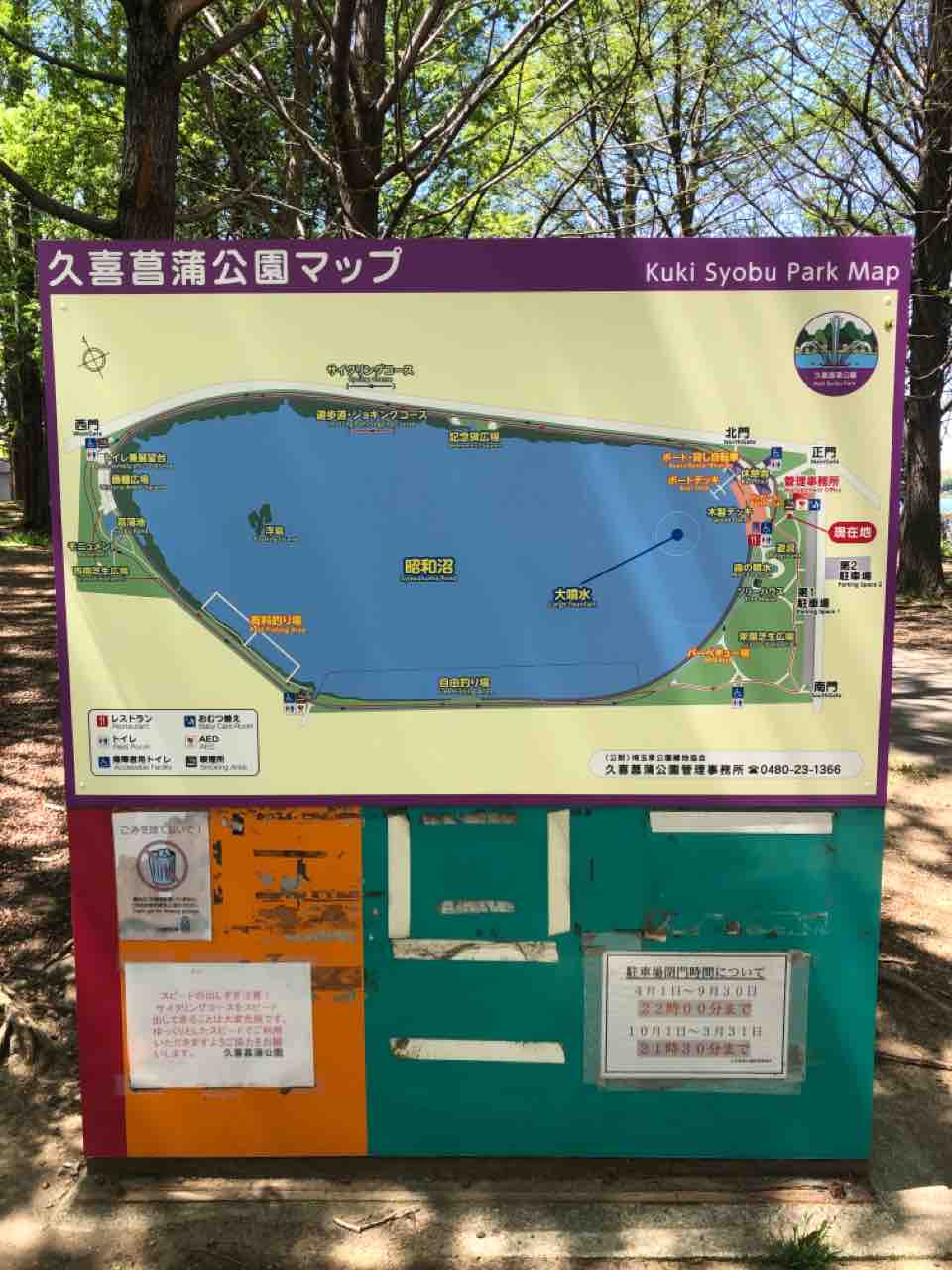 ダイエット日記 久喜菖蒲公園でのランニング Creation17のblog ダイエット日記 久喜菖蒲公園でのランニング Creation17のblog
