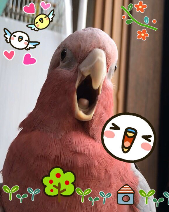 blog2