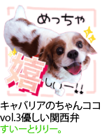アセット 41