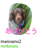 アセット 67