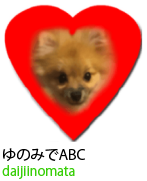 アセット 49