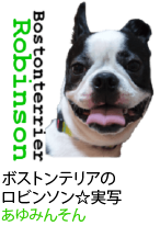 アセット 47