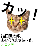 アセット 13