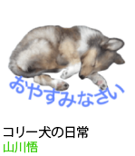 アセット 79
